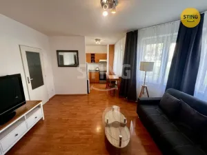 Pronájem bytu 1+kk, Ostrava, Horní, 38 m2