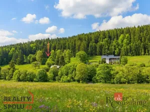 Prodej louky, Železná Ruda, 3475 m2