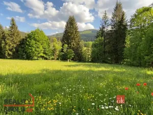 Prodej louky, Železná Ruda, 3475 m2