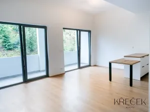 Pronájem bytu 1+kk, Třebíč, Tomáše Bati, 39 m2