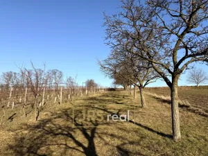 Prodej pozemku, Svatobořice-Mistřín, 3501 m2