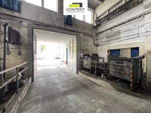 Pronájem výrobních prostor, Ústí nad Labem - Krásné Březno, Přístavní, 1173 m2