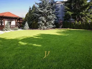 Pronájem bytu 1+kk, Olomouc - Hodolany, Blanická, 55 m2