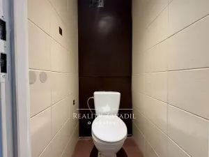 Prodej bytu 1+kk, Český Těšín, Hornická, 46 m2