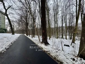 Prodej bytu 1+kk, Český Těšín, Hornická, 46 m2