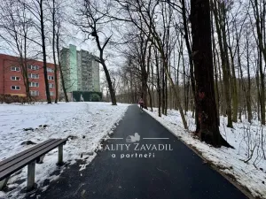 Prodej bytu 1+kk, Český Těšín, Hornická, 46 m2