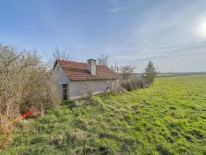 Prodej ostatní, Schrattenberg, Rakousko