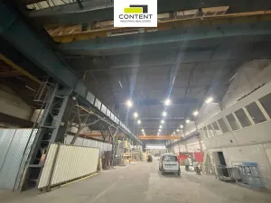 Pronájem výrobních prostor, Ostrava - Radvanice, Lihovarská, 1000 m2