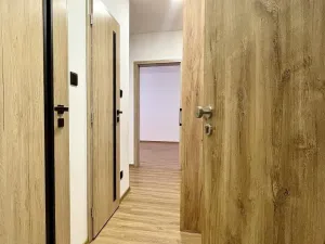 Prodej bytu 1+1, Ostrava - Hrabůvka, Dr. Martínka, 37 m2