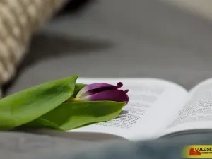 Prodej bytu 2+1, Brno - Veveří, 67 m2