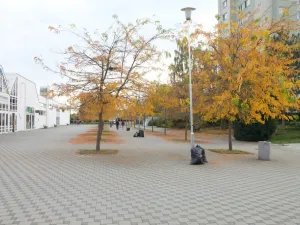 Pronájem obchodního prostoru, Plzeň - Skvrňany, Karla Steinera, 12 m2