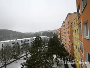 Pronájem bytu 1+1, Brno, Štouračova, 31 m2