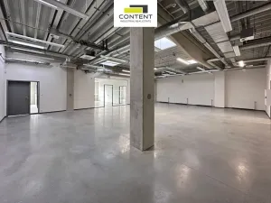 Pronájem výrobních prostor, Praha - Horní Počernice, K Bílému vrchu, 1100 m2