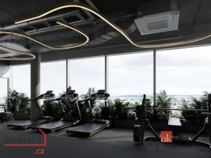 Prodej bytu 1+kk, Plzeň - Jižní Předměstí, náměstí Českých bratří, 35 m2