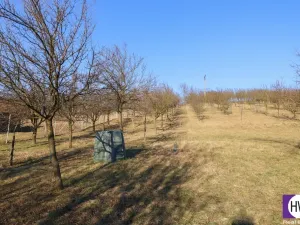 Prodej chalupy, Louka, 95 m2