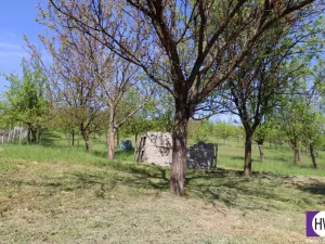 Prodej chalupy, Louka, 95 m2