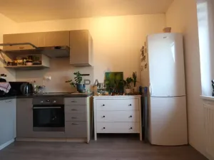 Prodej bytu 1+1, Starý Plzenec, Herejkova, 37 m2