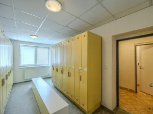 Dražba výrobních prostor, Hranice, Potštátská, 15735 m2