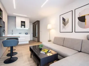 Pronájem bytu 1+kk, Ostrava, U Parku, 27 m2