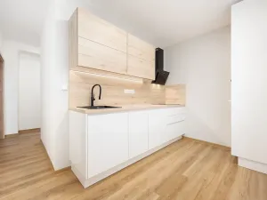 Prodej bytu 1+1, Brno, Svatopluka Čecha, 38 m2