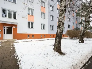 Prodej bytu 1+1, Brno, Svatopluka Čecha, 38 m2