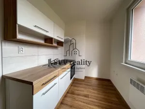 Prodej činžovního domu, Dvorce, Nemocniční, 970 m2