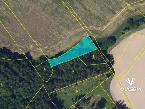 Prodej pole, Borek, 1565 m2