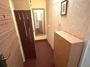 Pronájem bytu 1+1, Plzeň, Tachovská, 39 m2