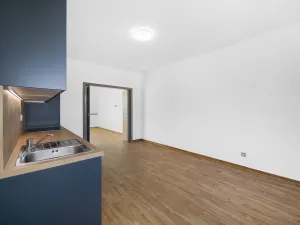 Pronájem bytu 1+1, Plzeň - Severní Předměstí, Bolevecká, 51 m2