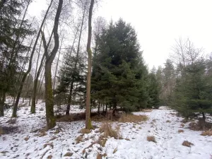 Prodej pozemku, Veliny, 1630 m2