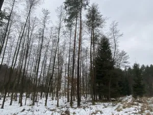 Prodej pozemku, Veliny, 1630 m2