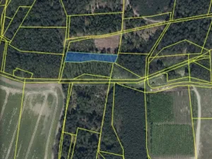 Prodej pozemku, Veliny, 1630 m2