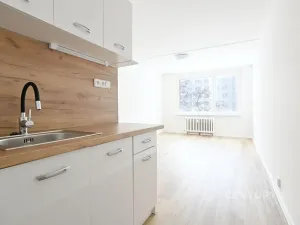 Pronájem bytu 2+kk, Most, Františka Malíka, 40 m2