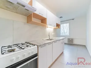 Pronájem bytu 2+1, Cheb, Palackého, 53 m2