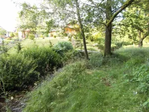 Prodej louky, Velký Šenov, 3266 m2