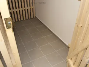 Pronájem bytu 2+kk, České Budějovice - České Budějovice 2, Plukovníka Malého, 51 m2