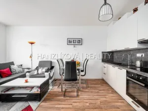 Prodej bytu 2+kk, České Budějovice - České Budějovice 2, Husova tř., 50 m2