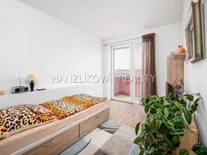 Prodej bytu 2+kk, České Budějovice - České Budějovice 2, Husova tř., 50 m2