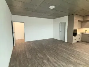 Pronájem bytu 1+kk, České Budějovice, Štítného, 44 m2