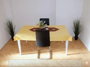 Pronájem pokoje, Praha - Břevnov, Závěrka, 16 m2