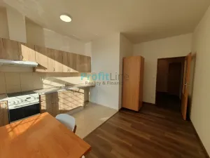 Pronájem bytu 3+kk, Sudkov, 57 m2