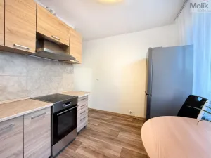 Prodej bytu 2+1, Krupka - Maršov, Karla Čapka, 62 m2