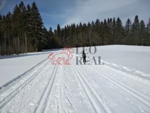 Prodej bytu 2+kk, Strážný, 33 m2