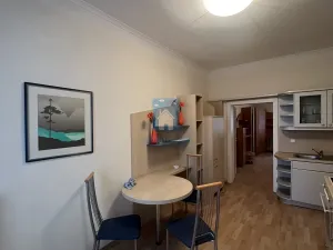 Pronájem bytu 1+1, Plzeň, Zámečnická, 45 m2