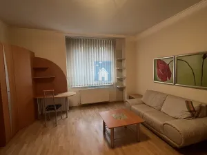 Pronájem bytu 1+1, Plzeň, Zámečnická, 45 m2