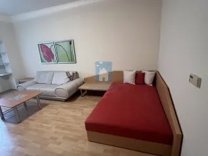 Pronájem bytu 1+1, Plzeň, Zámečnická, 45 m2