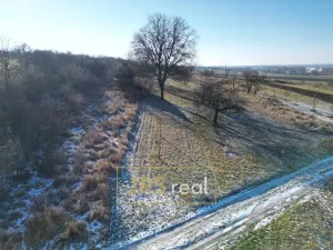 Prodej pozemku, Ostrožská Nová Ves, 982 m2