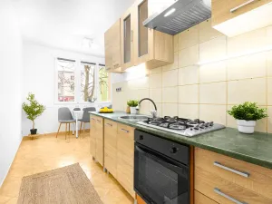 Prodej bytu 2+1, Plzeň, Tichá, 60 m2