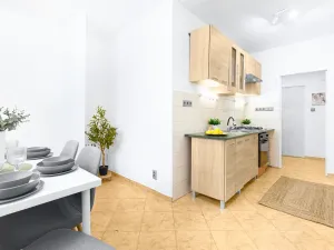 Prodej bytu 2+1, Plzeň, Tichá, 60 m2