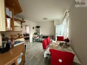 Pronájem bytu 2+1, Bílina - Teplické Předměstí, Sídliště Za Chlumem, 55 m2